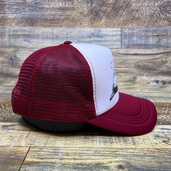 Wisconsin Badgers Unisex Trucker Hat Maroon Snapback NCAA Big Ten Baseball Cap - Picture 4 of 8